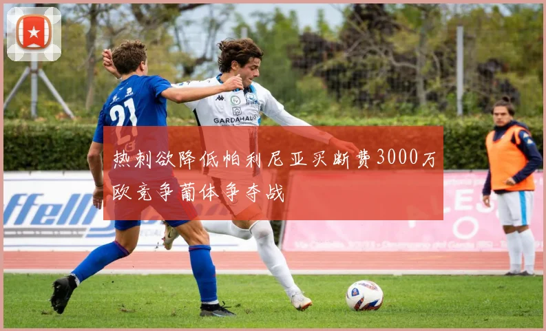 热刺欲降低帕利尼亚买断费3000万欧竞争葡体争夺战