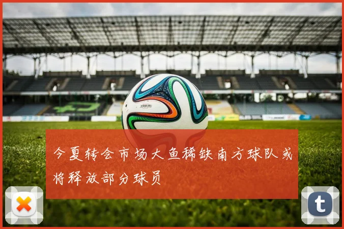 今夏转会市场大鱼稀缺南方球队或将释放部分球员