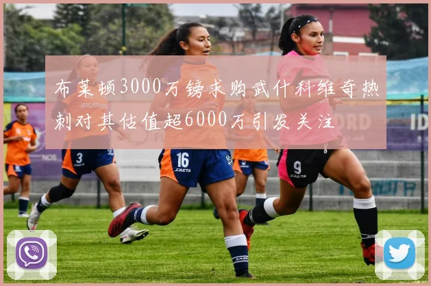布莱顿3000万镑求购武什科维奇热刺对其估值超6000万引发关注
